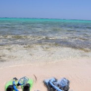 Traveler Review – Grand Cayman & The Reef Resort